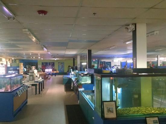 Biomes Marine Biology Center